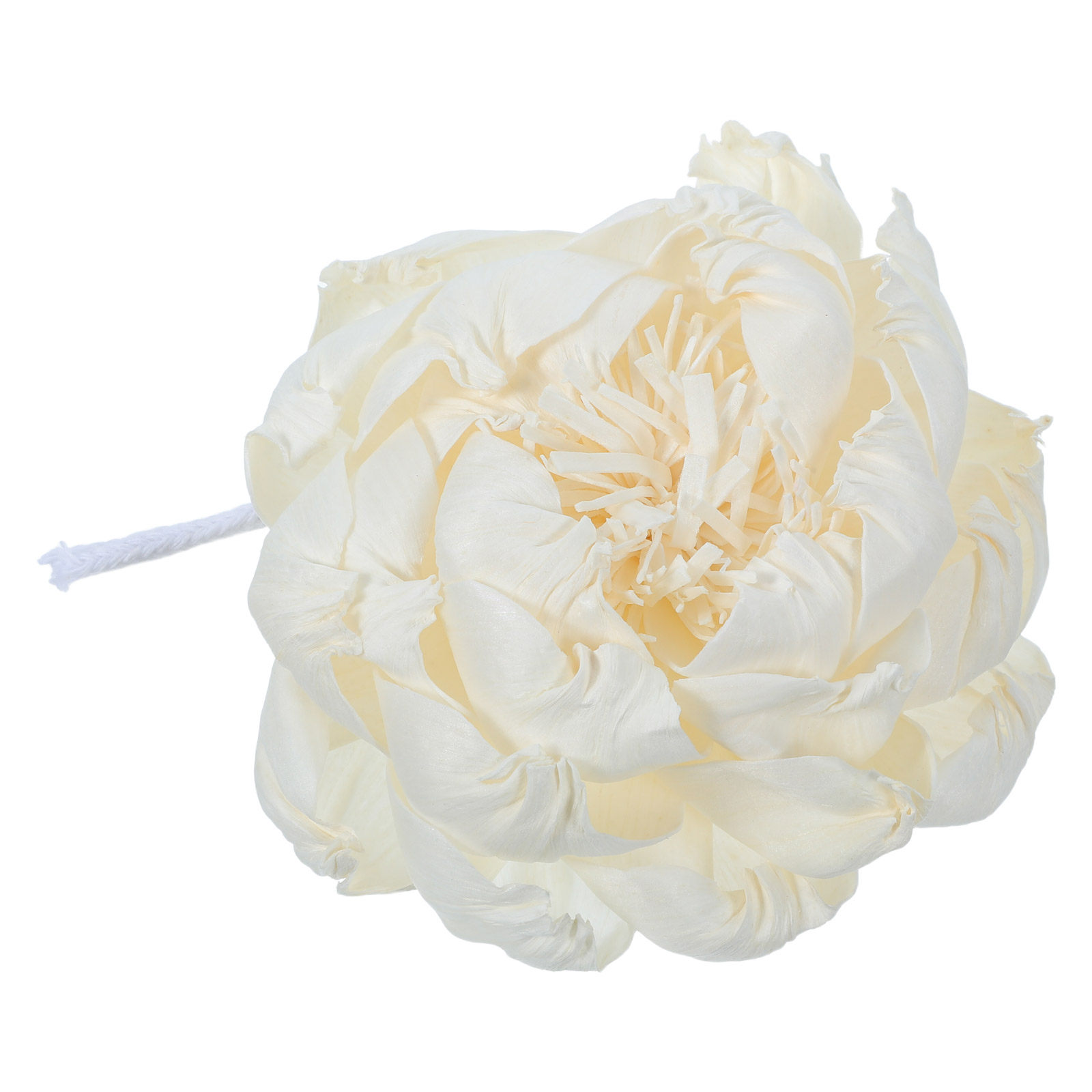 Peony Head Fragrance Diffuser  - Home Fragrance Essential Oils 评论和价格