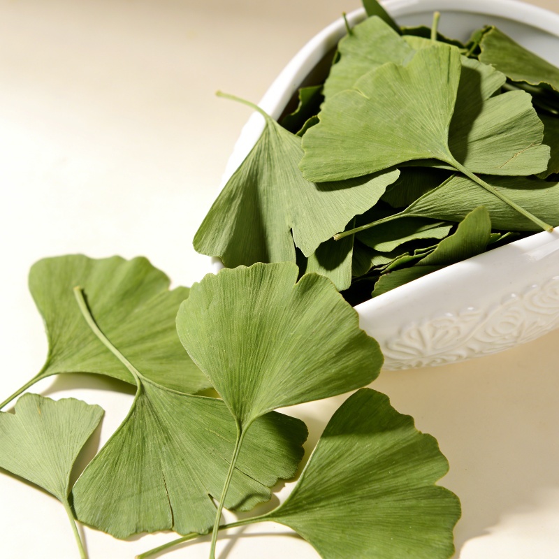 Quality Ginkgo Biloba Dried Le - Quality Home Fragrance 评论和价格